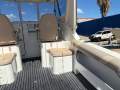 Leisurecat 6000 Brumby