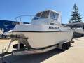 Leisurecat 6000 Brumby