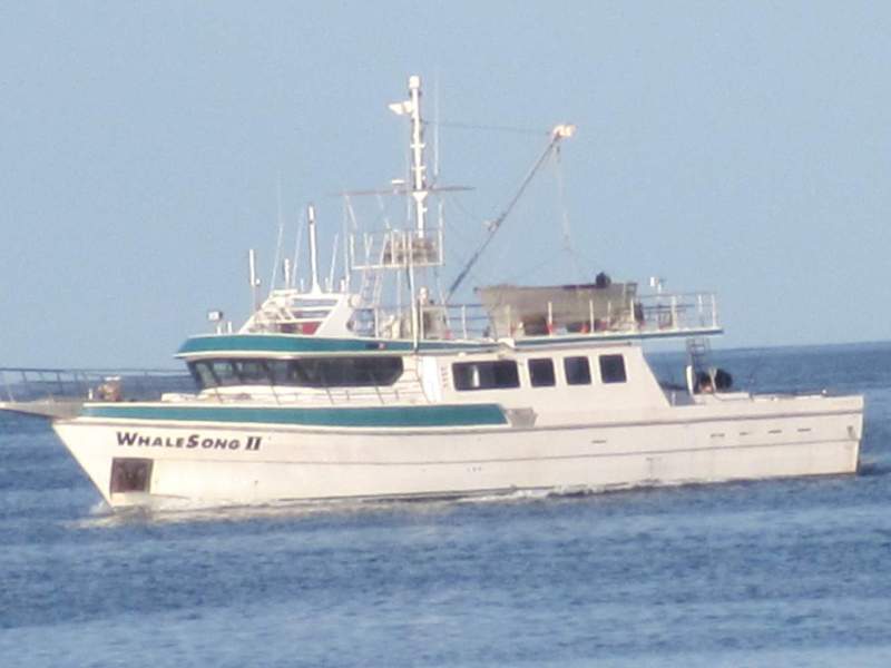 Westcoaster 24m Liveabord Charter Vessel