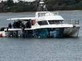 51.5 Feet Fiberglass Catamaran - In Survey