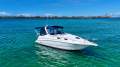 Mustang 2800 SportsCruiser Series III