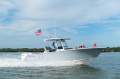 Sportsman Open 262 Centre Console