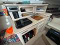 Wellcraft 2600 Martinique