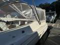 Wellcraft 2600 Martinique