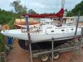 Alan Payne Tasman SeaBird