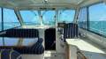 Back Cove 34