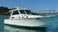 Back Cove 34
