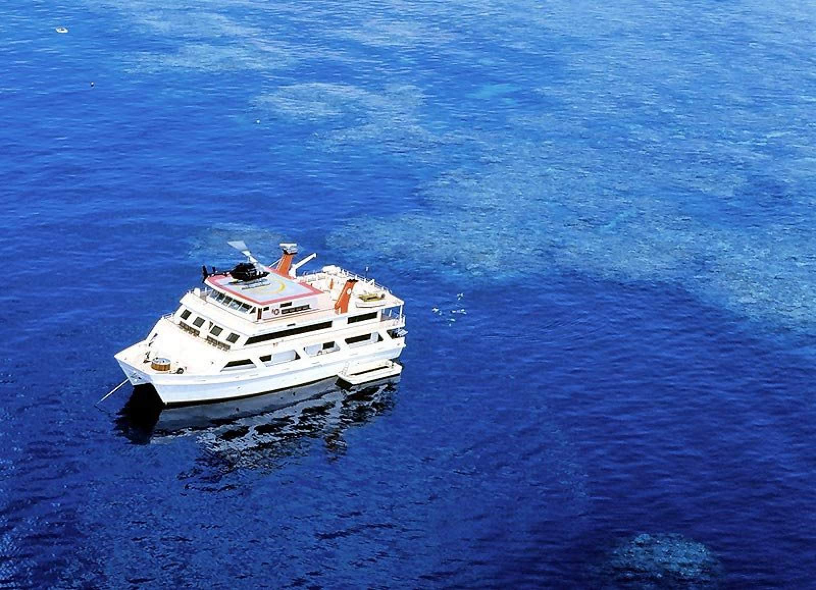 Australian Liveaboard Operation with Expedition and Day reef trip vessels:Liveaboard at Reef