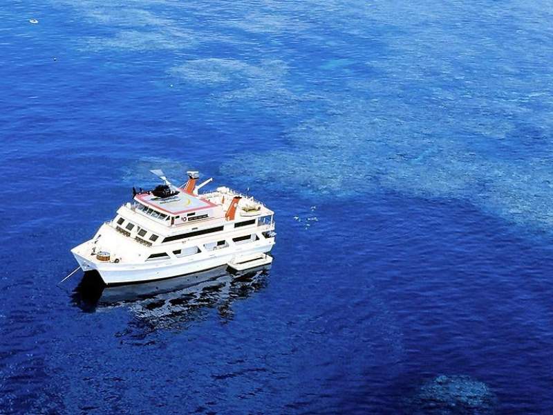 Australian Liveaboard Operation with Expedition and Day reef trip vessels