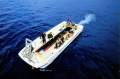 Australian Liveaboard Operation with Expedition and Day reef trip vessels:Dive Tender