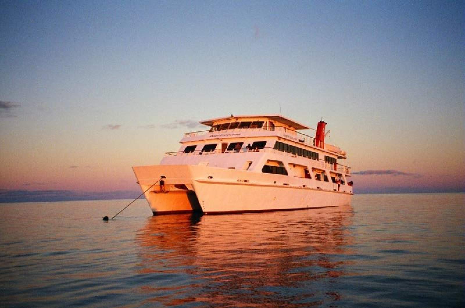 Australian Liveaboard Operation with Expedition and Day reef trip vessels:42 pax Liveaboard Steel Catamaran