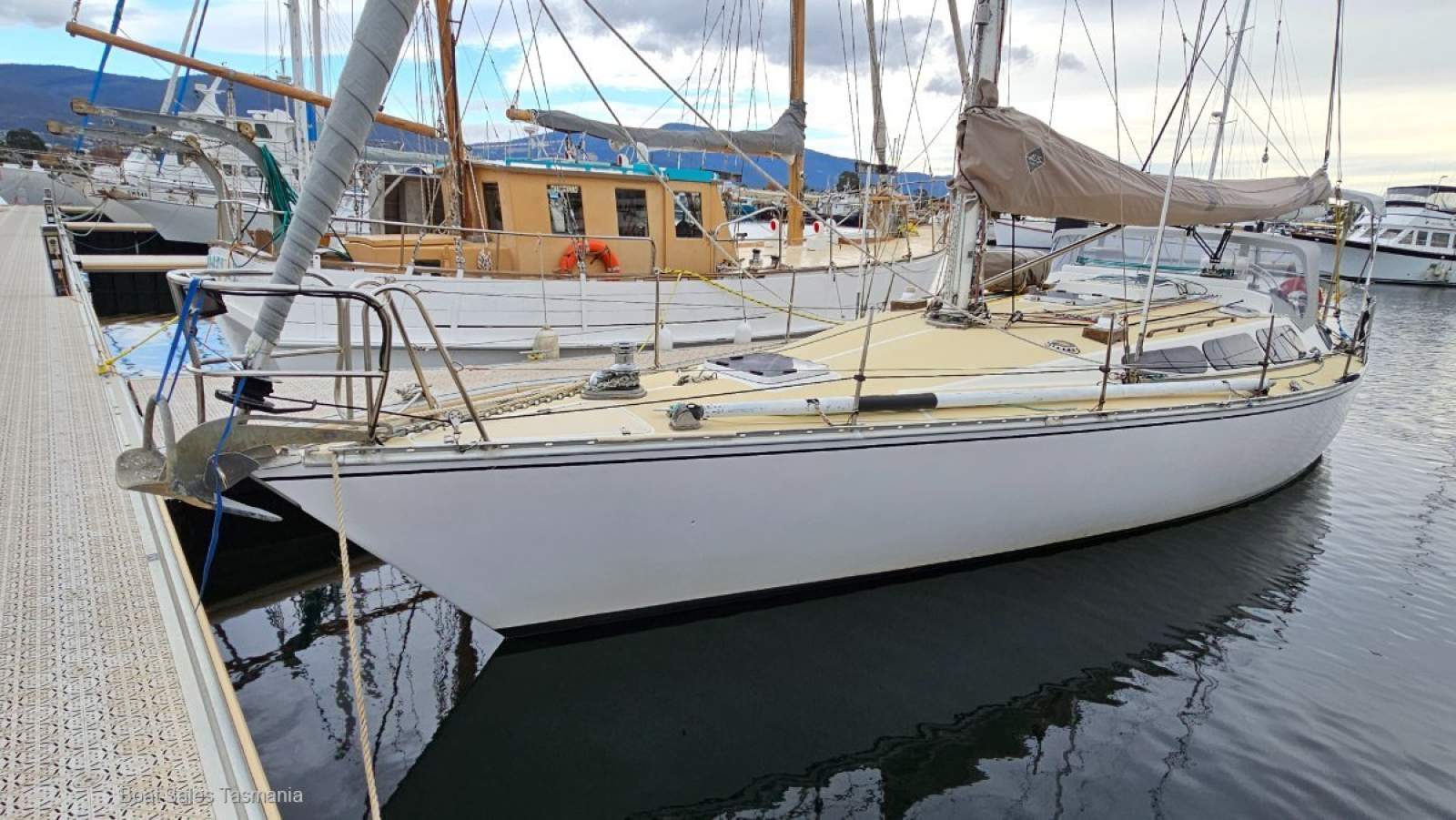 Adams 12
