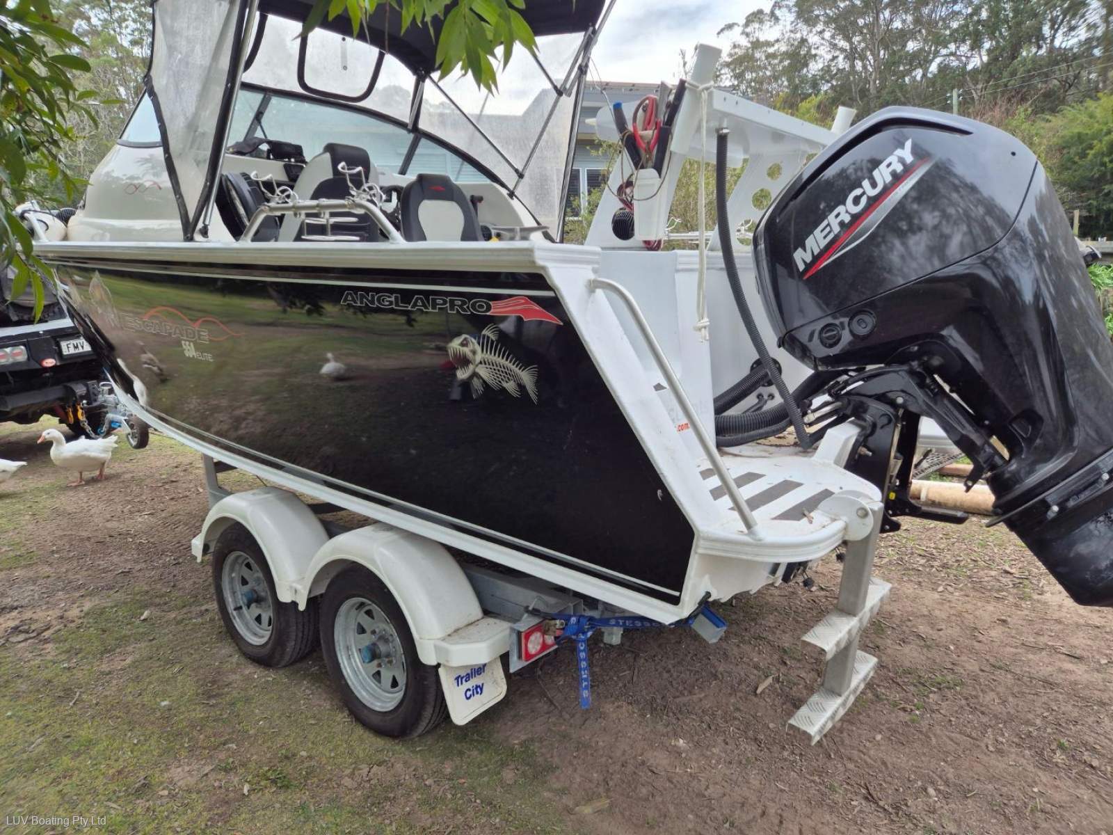 Anglapro Escapade 554