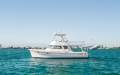 Kellick 33 Flybridge