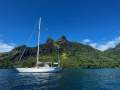 Swan 41