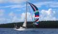 Swan 41