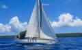 Swan 41