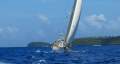 Swan 41