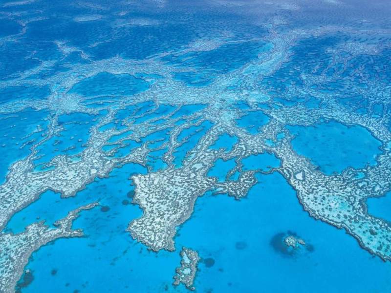 Rare GBRMPA 365 Day (MORE THAN 150PAX, 4 VESSELS) Great Barrier Reef Marine