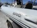 Brig F450 - Includes trailer!