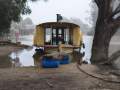 Paddle Steamer Boat