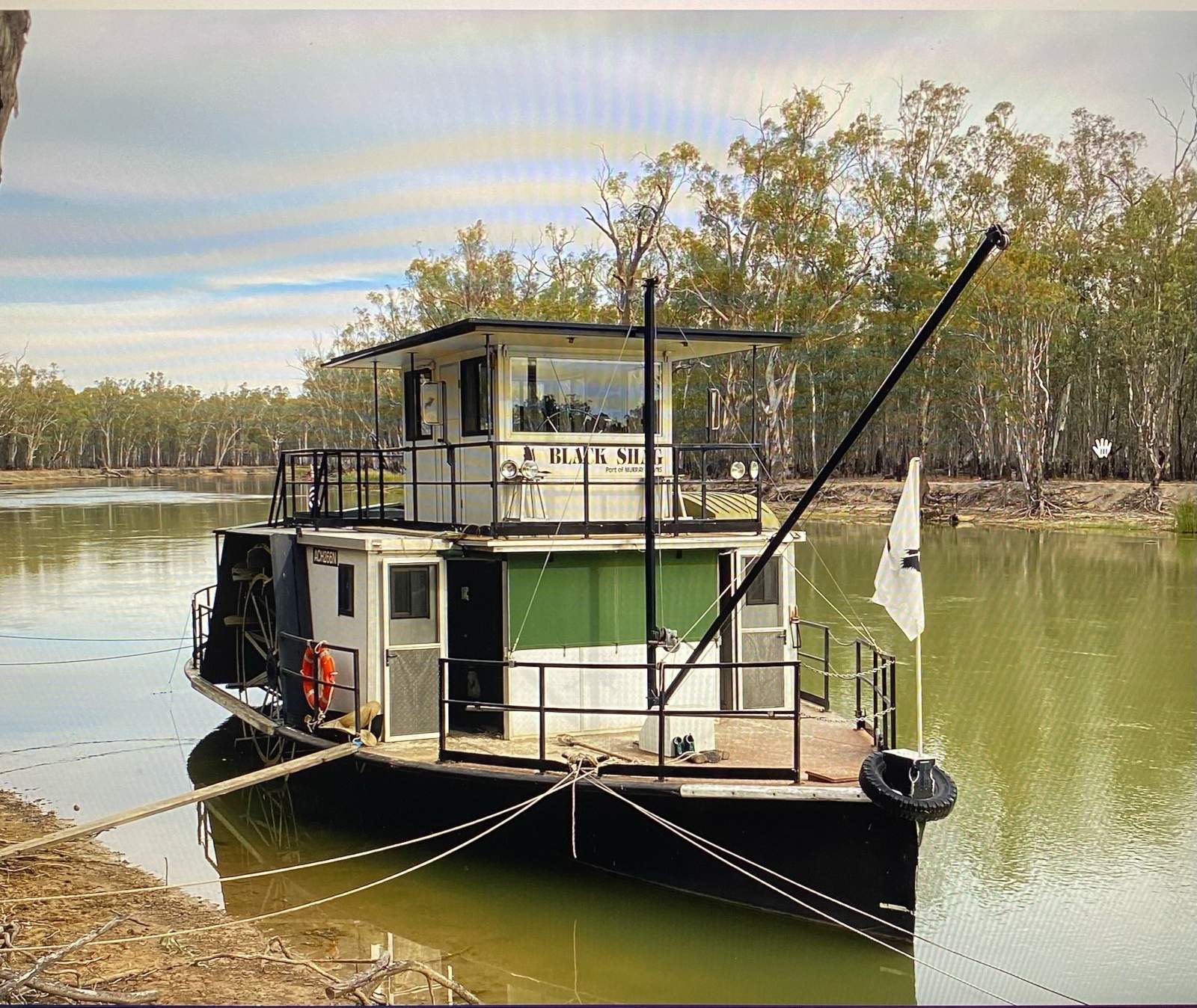 Black Shag Paddle Boat