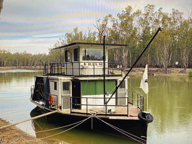 Black Shag Paddle Boat