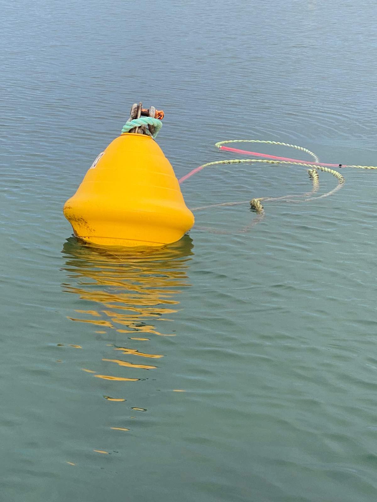Swing mooring