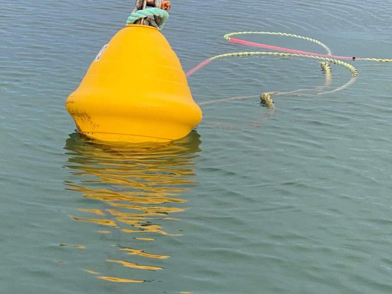 Swing mooring