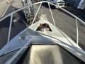 Westerberg 5.2 Runabout 2018 Model Mercury 115 pro XS 4 stroke with 600HRS