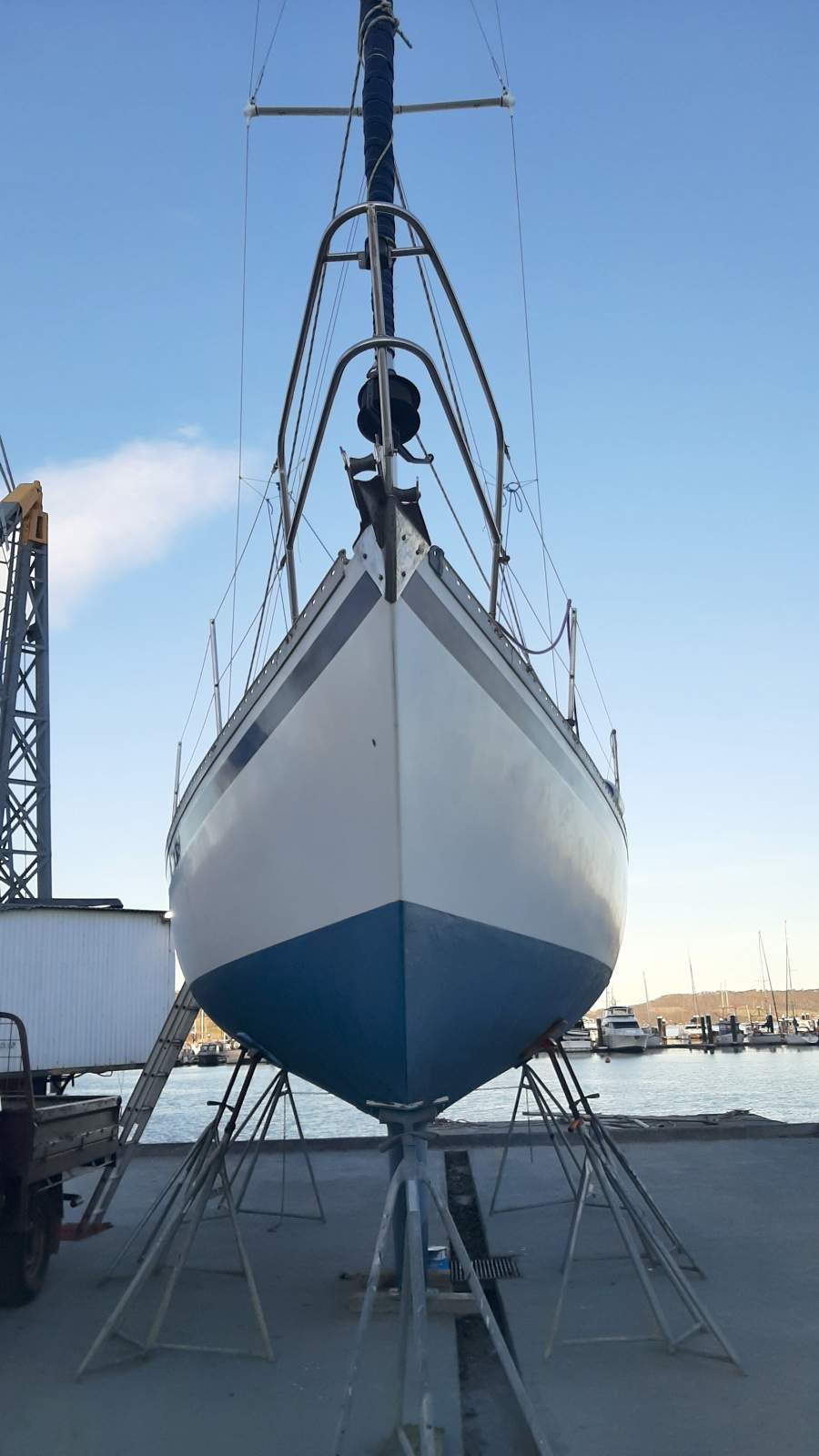 Mottle 33