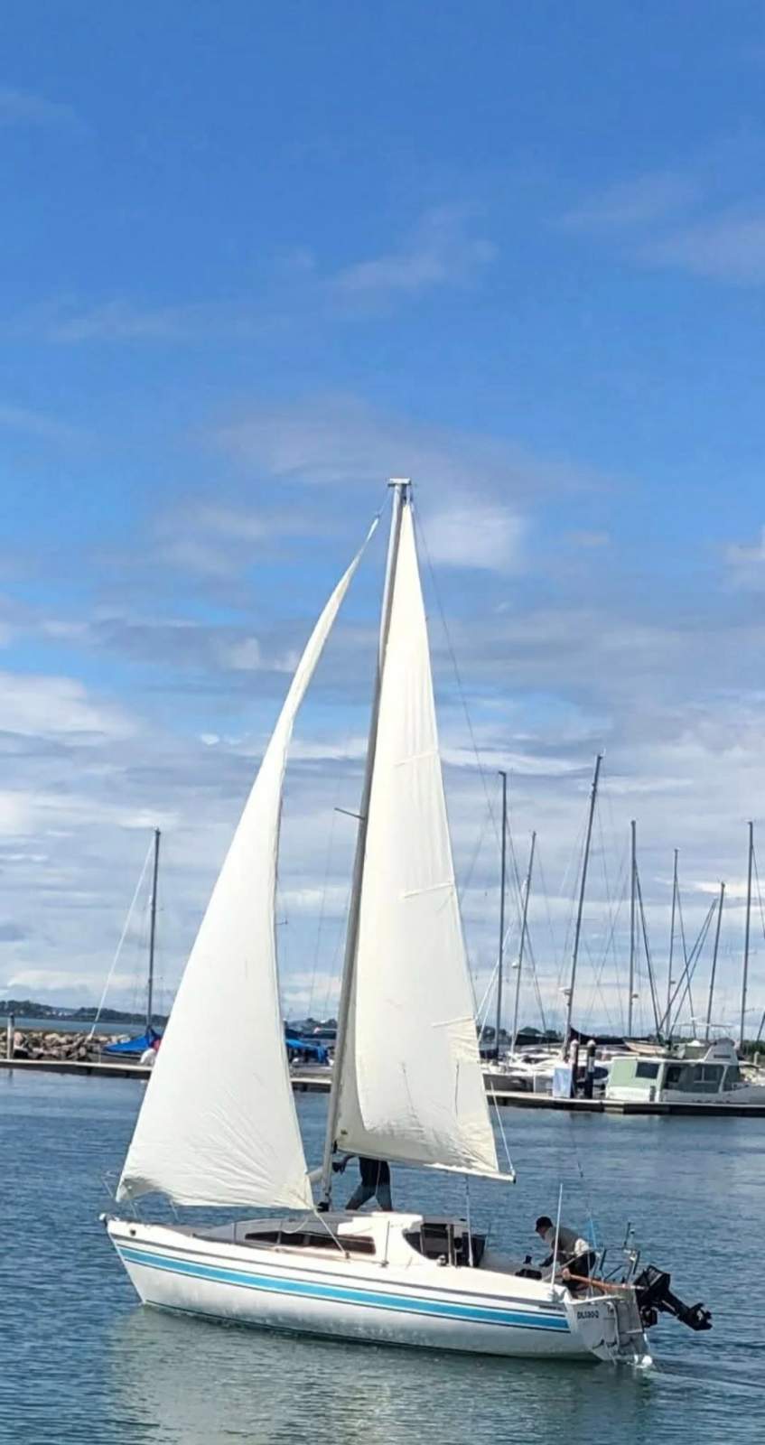 Sonata 7 Sonata 7 Trailer Sailer