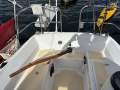 Van De Stadt Spirit 28:Tiller and throttle controls