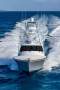 Viking 54 Open
