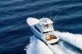 Viking 50 Convertible