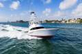 Viking 50 Billfish