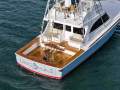 Viking 50 Billfish