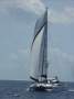 Grainger 430 Performance Cruiser Cruising catamaran
