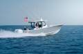 Sportsman Open 322 Centre Console