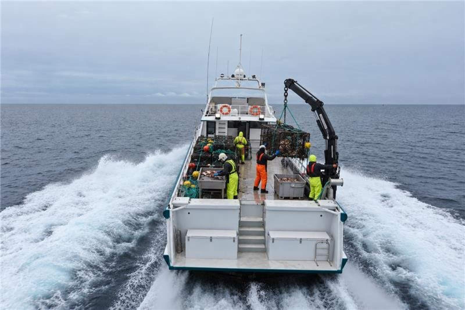 Xtreme Marine 80