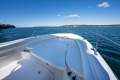 Boston Whaler 320 Outrage