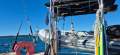 Savage Oceanic 42