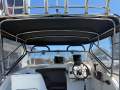 Caribbean Reef Runner 21