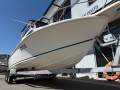 Caribbean Reef Runner 21