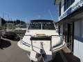 Caribbean Reef Runner 21