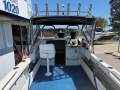 Caribbean Reef Runner 21