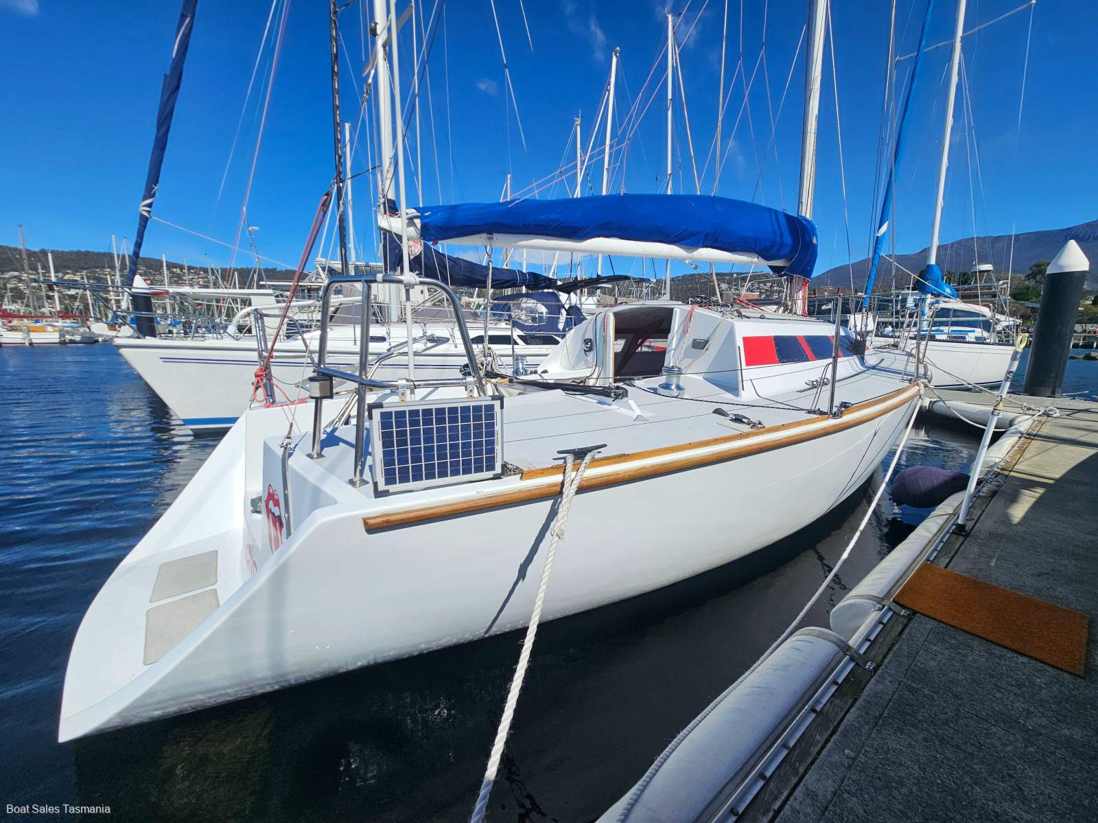 Kaufman 33 Club Racer Cruiser