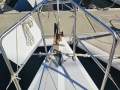 Kaufman 33 Club Racer Cruiser