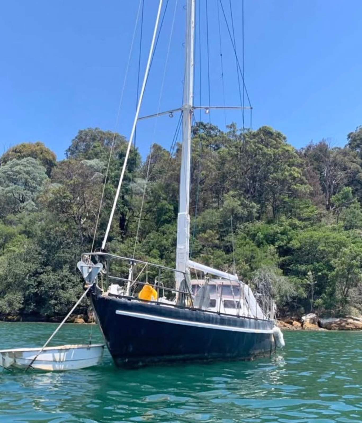 UNLEASH YOUR INNER PIRATE WITH THIS 50FT BEAST!