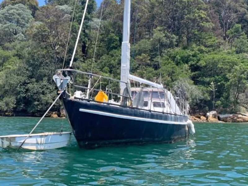 UNLEASH YOUR INNER PIRATE WITH THIS 50FT BEAST!